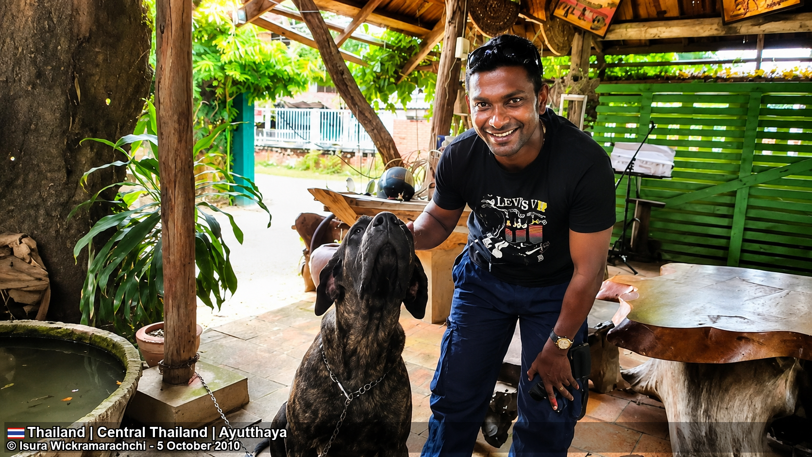 A Friendly Companion at Our Ayutthaya Hotel