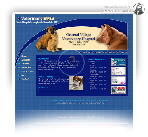 Oriental Village Veterinary Hospital Website